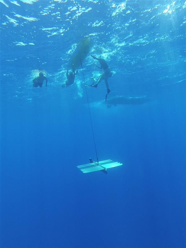 UVS Completes Wave Glider Training in Hawaii with Liquid Robotics