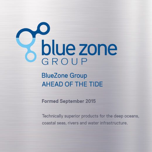 BlueZone Group Consolidates