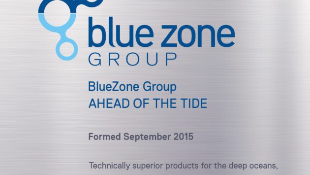 BlueZone Group Consolidates