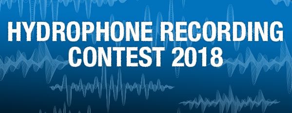 Join the Teledyne Marine Hydrophone Contest 2018