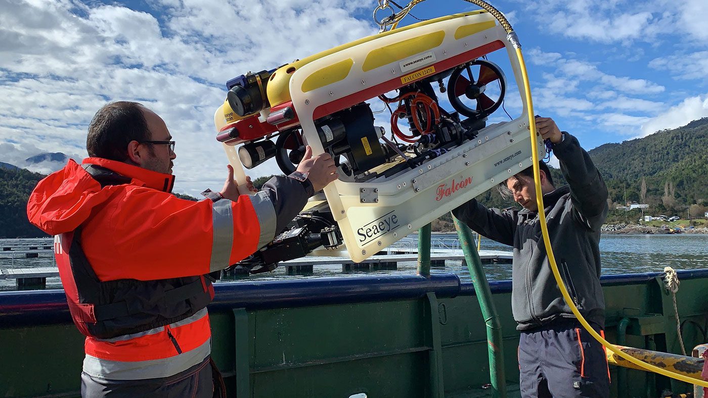 Seaeye Falcon for Aquaculture Applications