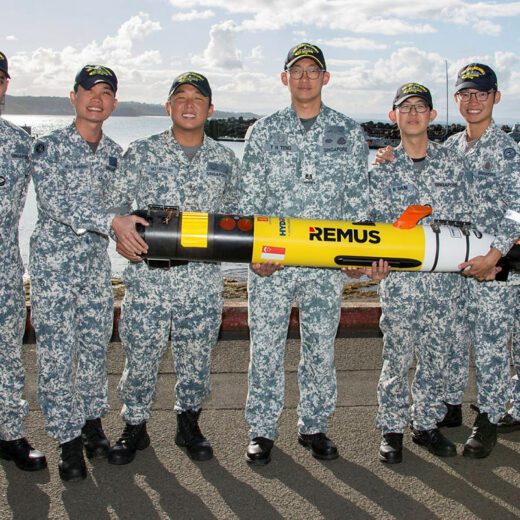Unmanned Underwater Vehicles in the Maritime Domain