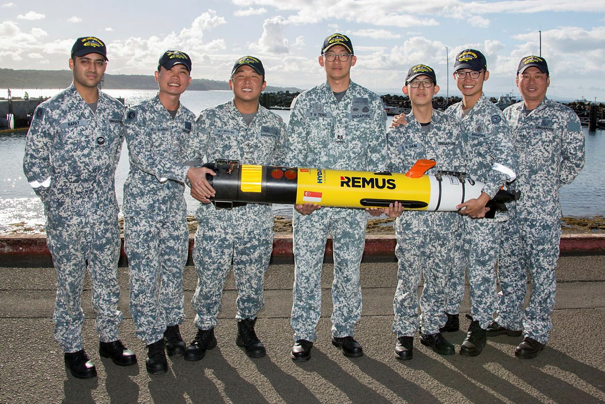 Unmanned Underwater Vehicles in the Maritime Domain