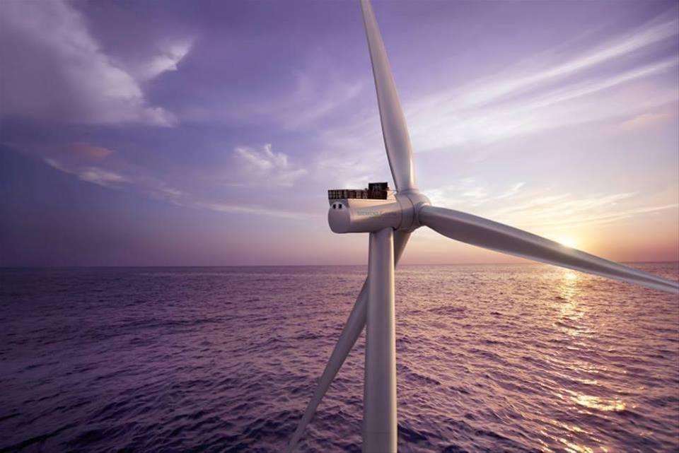 Offshore Wind Farms Choose Cougar