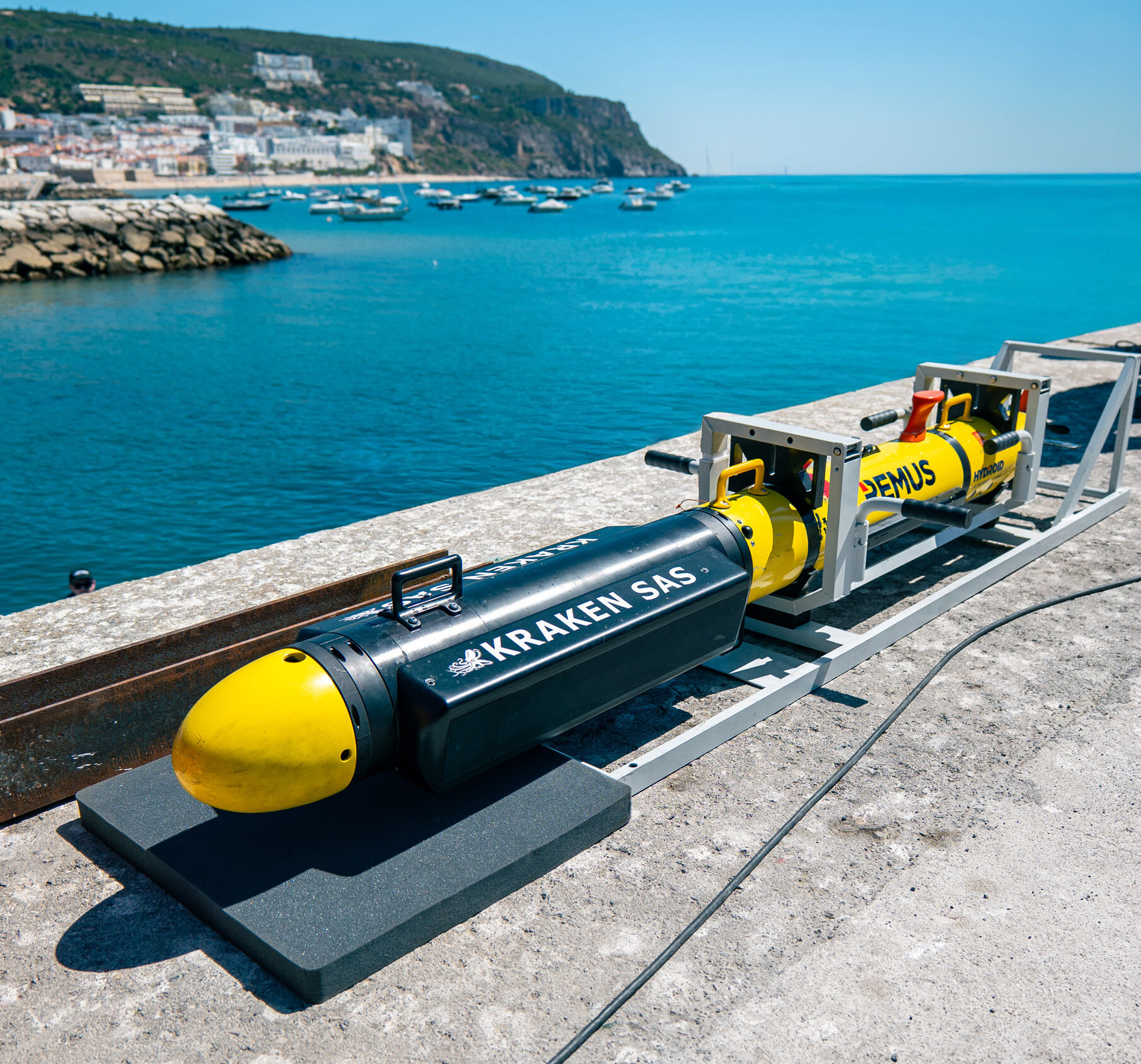 REPMUS-110925-20-1-e1761134647926 - BlueZone Group